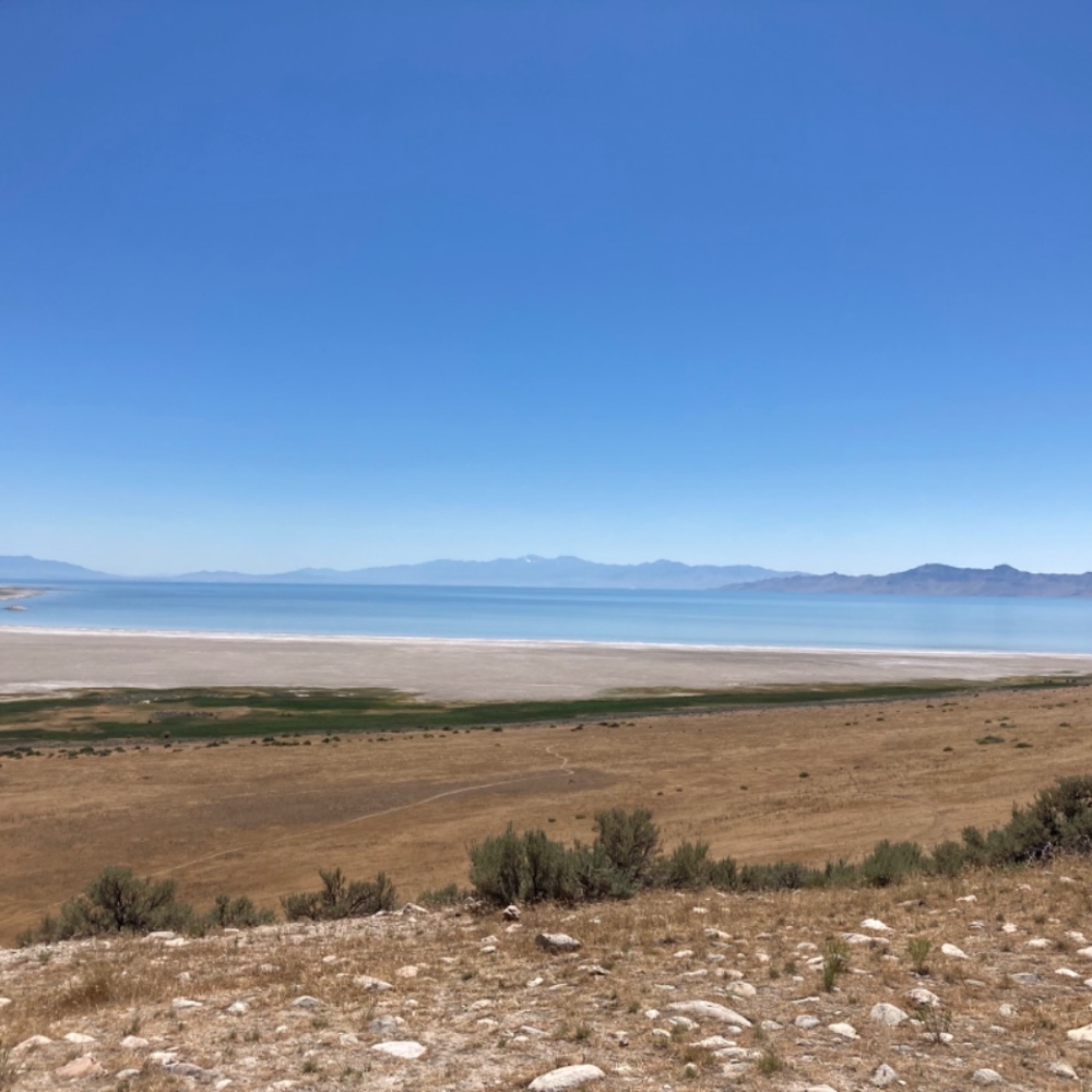 Enterprise Oakland Airport Review Pickup/Dropoff Excellent